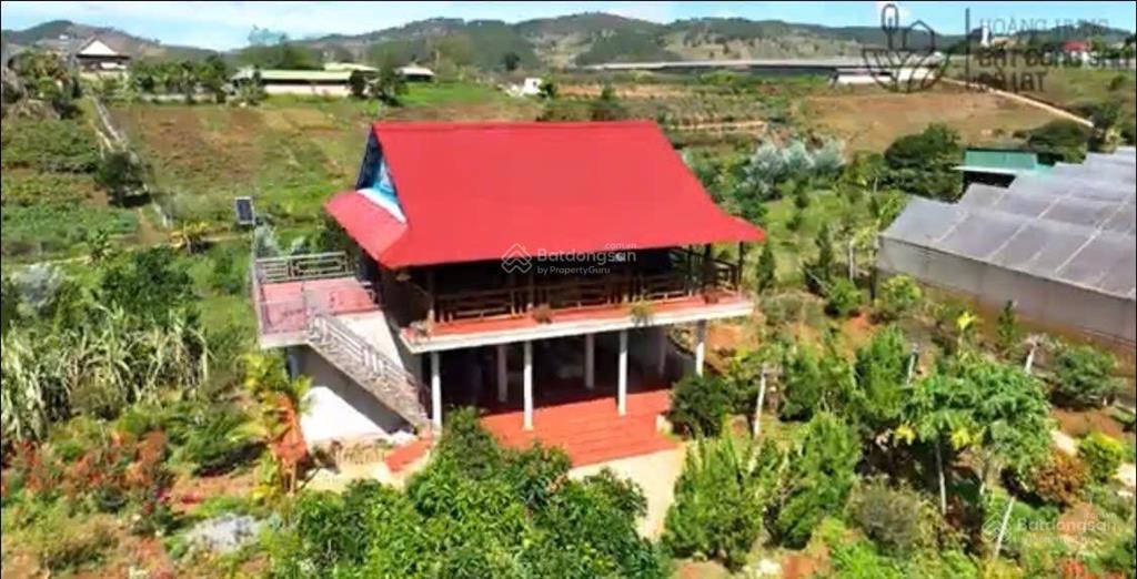 Bán gấp điền trang nghỉ dưỡng giá tốt tại tà nung, đà lạt
