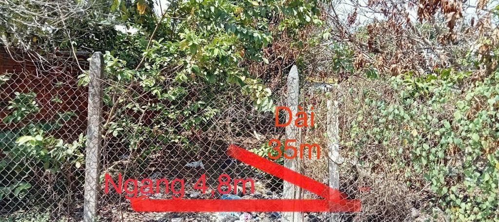 Đất nền 170m Xã Long Giang, Bến Cầu, Tây Ninh (Nay là Xã Long Thuận)