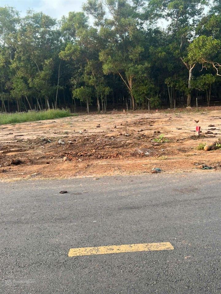 Đất ngay chợ tự phát, chánh phú hoà, bến cát, bình dương