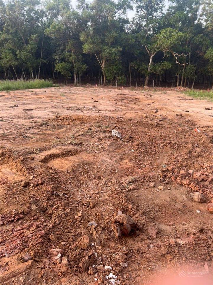 Đất ngay chợ tự phát, chánh phú hoà, bến cát, bình dương