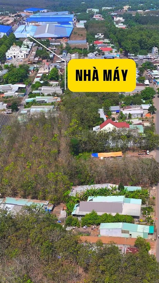 Bán đất vĩnh hòa phú giáo, bình dương