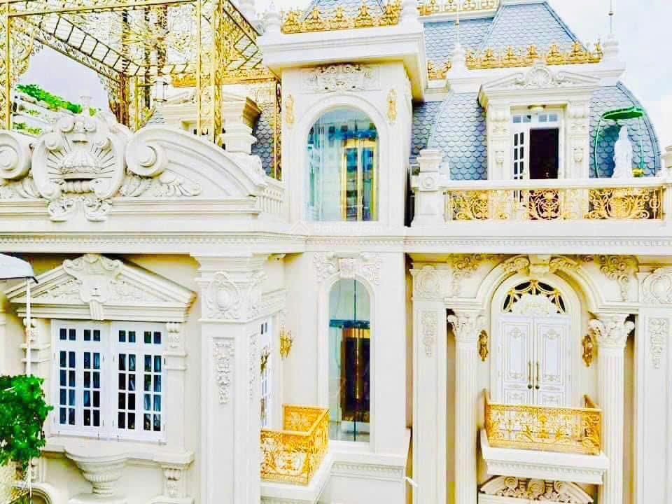 Bán biệt thự lâu đài dát vàng trung tâm quận 1  đường nguyễn đình chiểu (cây điệp)