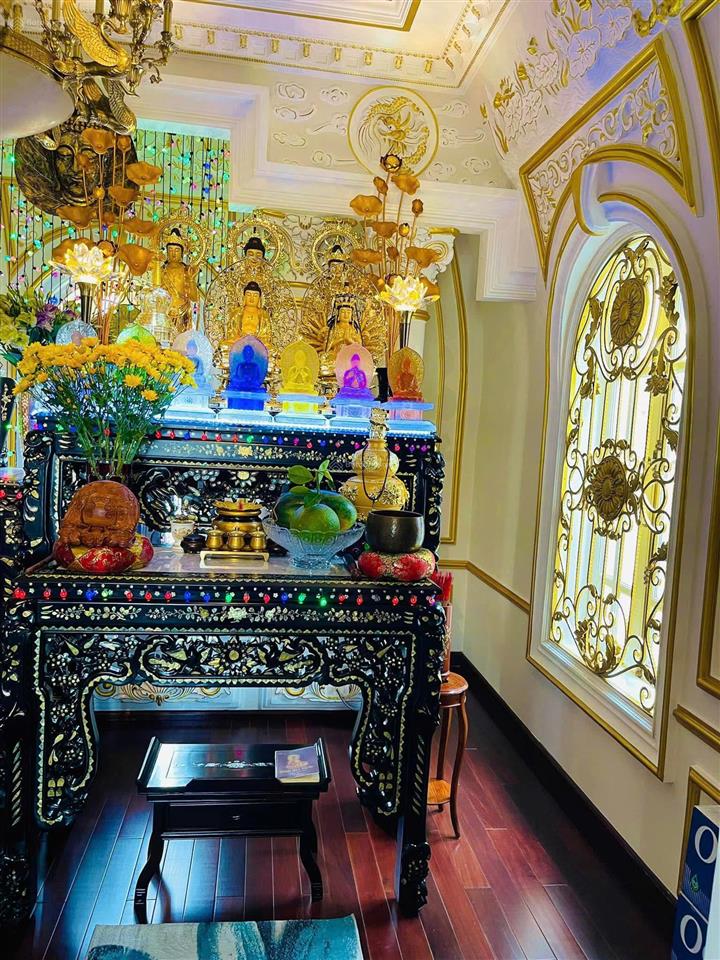 Bán biệt thự lâu đài dát vàng trung tâm quận 1  đường nguyễn đình chiểu (cây điệp)