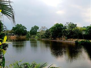 Sát kđt thiên mã  cách ql21 chỉ 500m  cạnh hồ, sân golf đồng mô  giá nhỉnh 2 tỷ