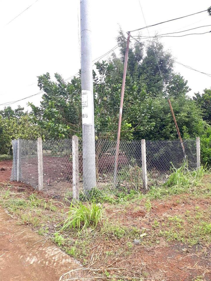 Bán vườn trái cây 5500m2, đường betong  0945 899 ***