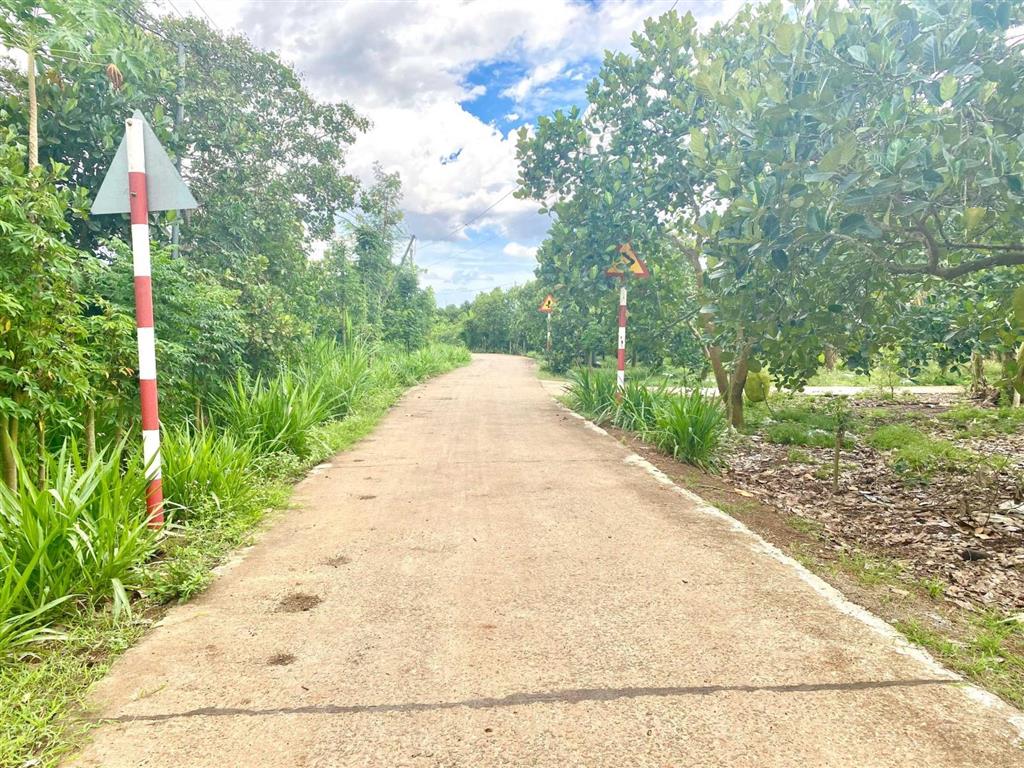 Bán vườn trái cây 5500m2, đường betong  0945 899 ***