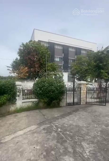 Cho thuê biệt thự góc đẳng cấp tại an khánh  không gian sống sang trọng, vị trí đắc địa