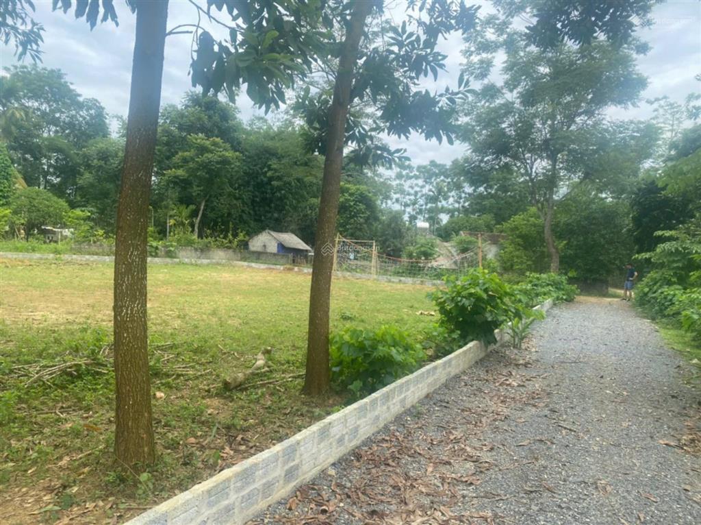 Chính chủ bán hơn 600m2 đất lô góc, sổ chính chủ thôn triu, điền lư, bá thước, thanh hoá 0967 522 ***
