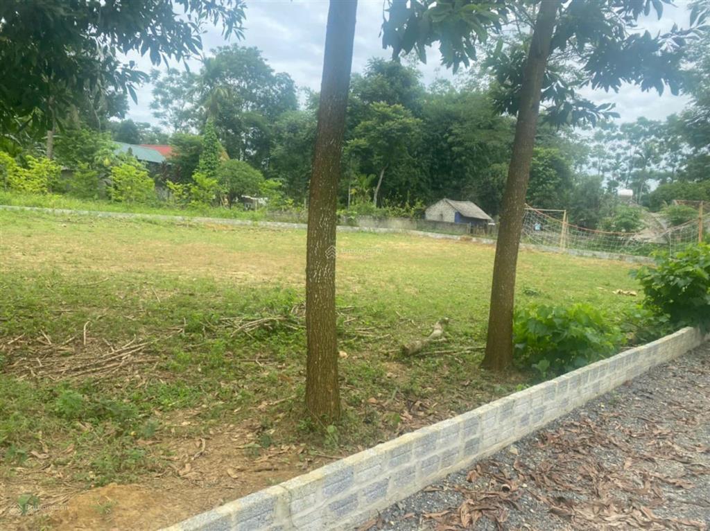 Chính chủ bán hơn 600m2 đất lô góc, sổ chính chủ thôn triu, điền lư, bá thước, thanh hoá 0967 522 ***