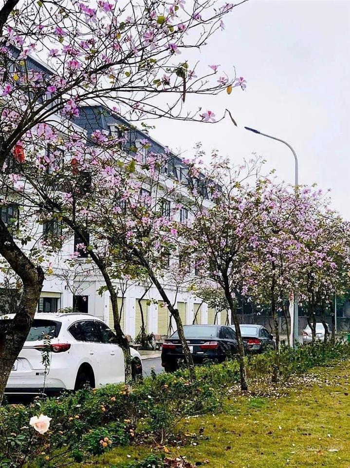 8,5 tỷ nhập khẩu tại long việt riverside xã quang minh hà nội 0967 522 ***