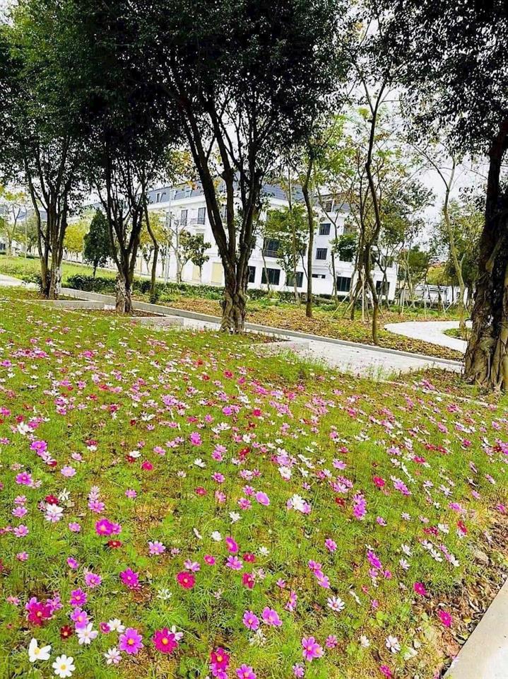 8,5 tỷ nhập khẩu tại long việt riverside xã quang minh hà nội 0967 522 ***