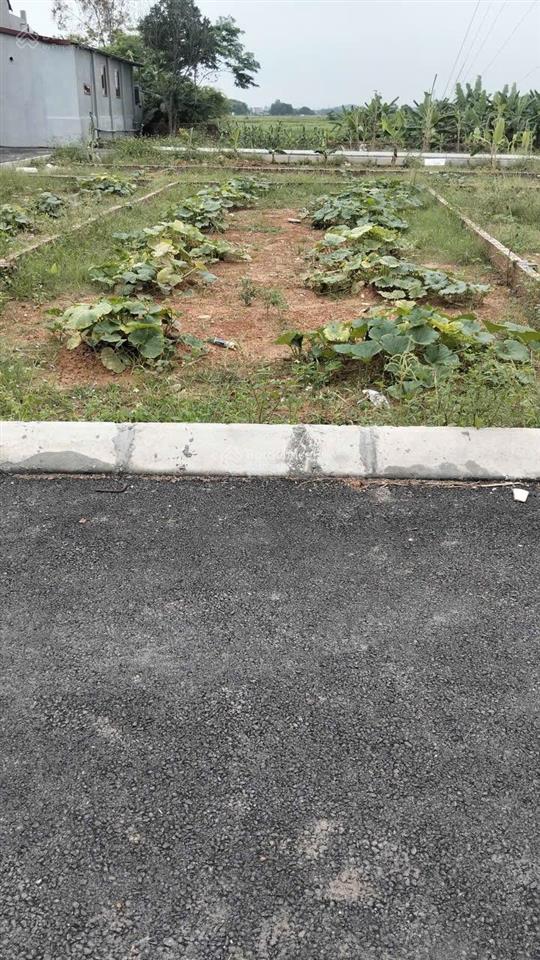Chính chủ bán lô nền 83m sổ đỏ sang tên tại xã tân minh sóc sơn hà nội 0967 522 ***