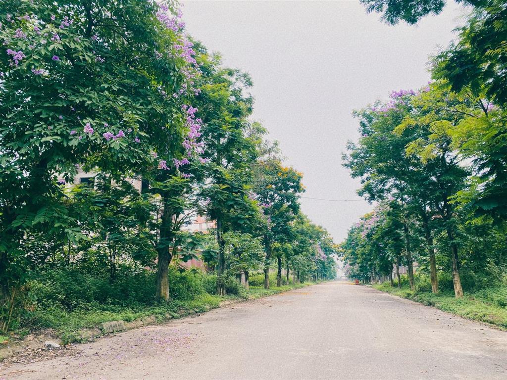 Giá hời 15 tỷ sở hữu căn biệt thự nghỉ dưỡng 300m, sổ đỏ sang tên kđt quang minh hn