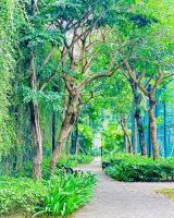 Nhỉnh 500tr sở hữu ngay liền kề ceohomes hana garden mê linh 0967 522 ***
