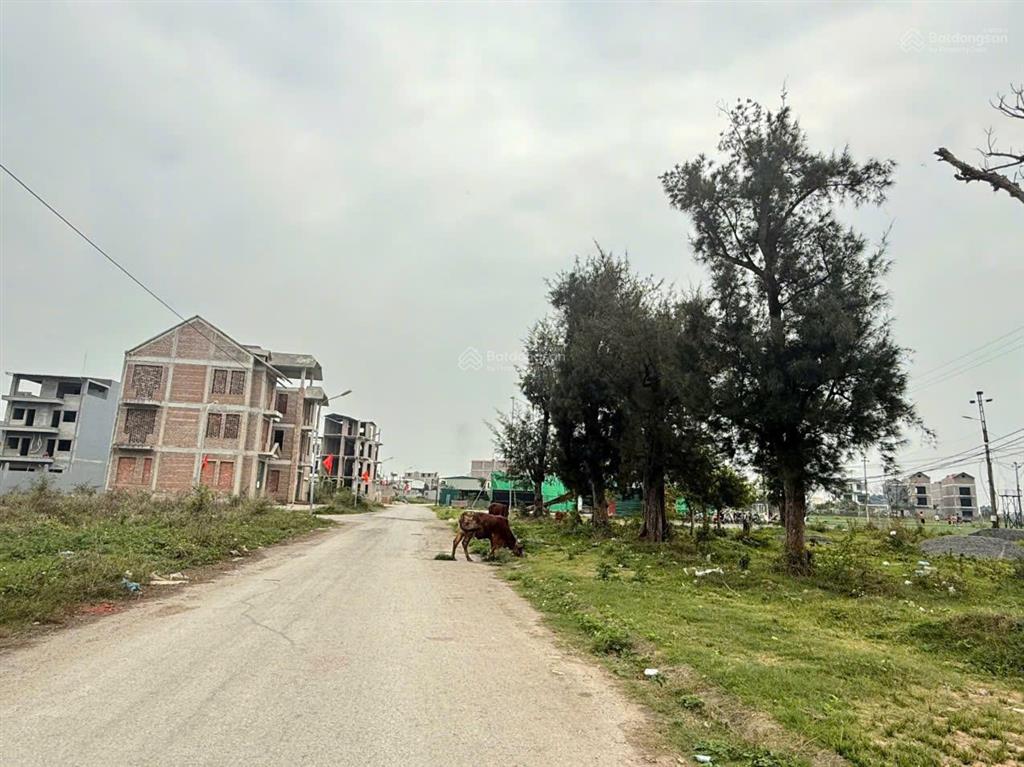 Nhỉnh 6 tỷ lô nhà vườn 195m view vườn hoa đẹp dự án kđt chi đông mê linh hà nội