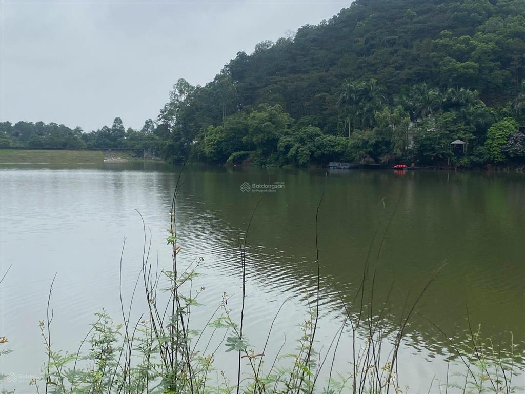 Sở hữu 2000m đất nghỉ dưỡng view hồ chỉ 3x tỷ xã kim anh sóc sơn hà nội