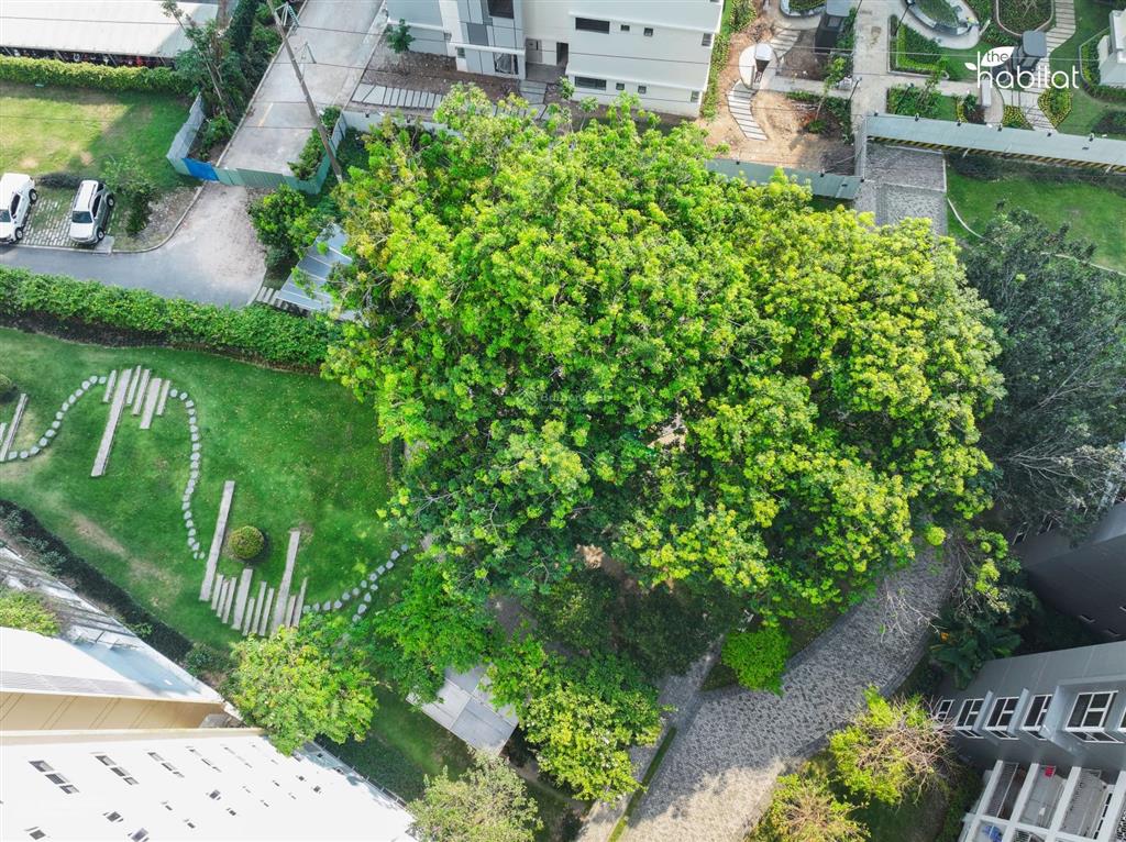 Rổ hàng mở bán mới tháng 05/2026 & sang nhượng the habitat bình dương