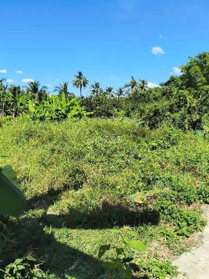 KO QUY HOẠCH - KO LỖI - 100m - XE HƠI- HÀ HUY GIÁP
