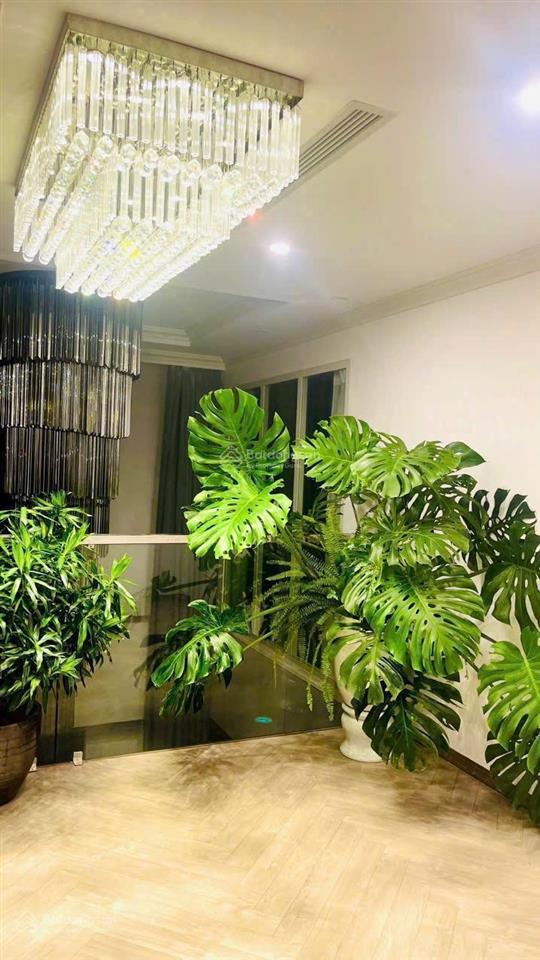 Bán duplex vip, diện tích 137m2 3 ngủ + 1, 3 vs, view panorama toàn thành phố, giá ngang căn 3 ngủ