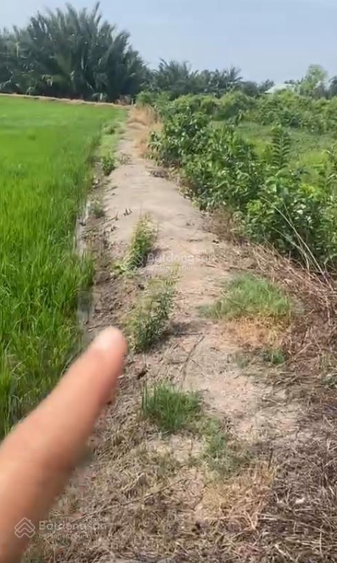 Giảm 7 tỷ bán gấp 10.000m2 đất qui đức, bình chánh view sông sinh thái