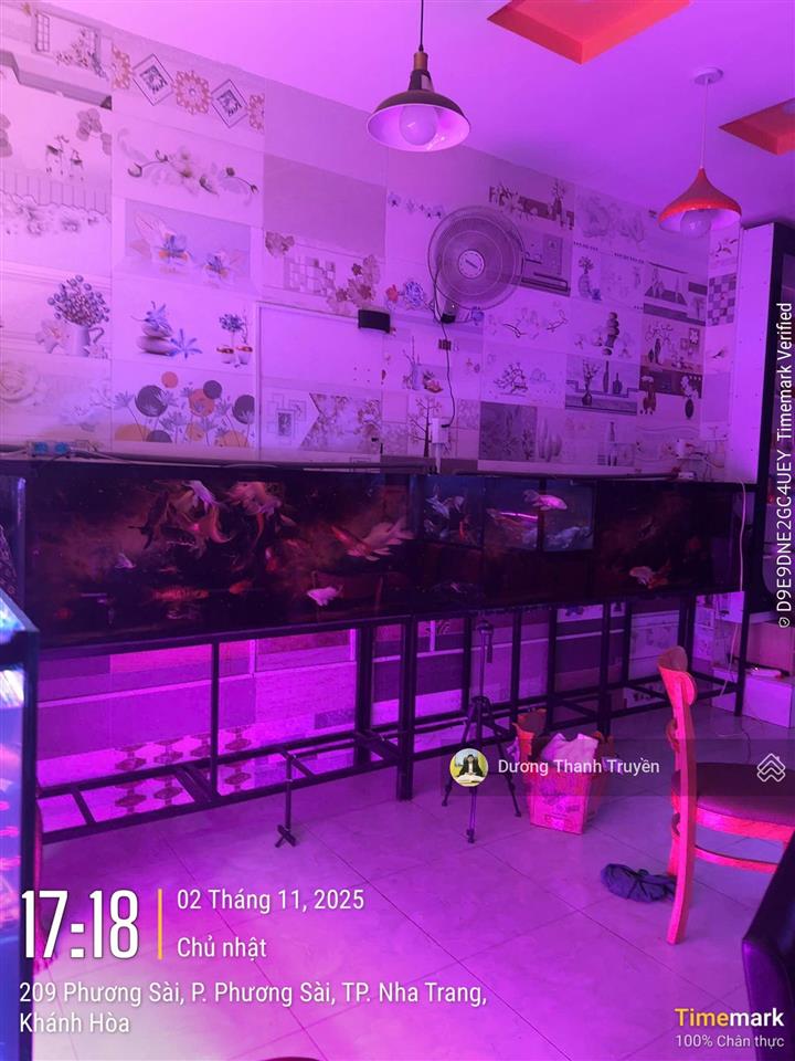 Bán đất tặng nhà 3 tầng mặt tiền đường phương sài, vị trí kinh doanh sầm uất, gần biển, giá 7,1 tỷ