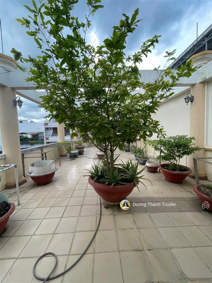 Bán nhà 4 tầng mặt tiền phan chu trinh cách biển chỉ 300m, ngay tt vùng lõi nha trang, giá 27,5 tỷ