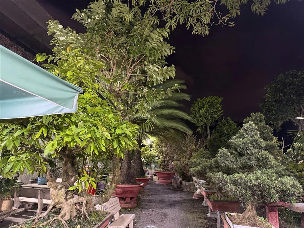 Biệt thự view công viên trục Dương Quảng Hàm, P.6, Gò Vấp, 470m2, đường 12m, 47 tỷ
