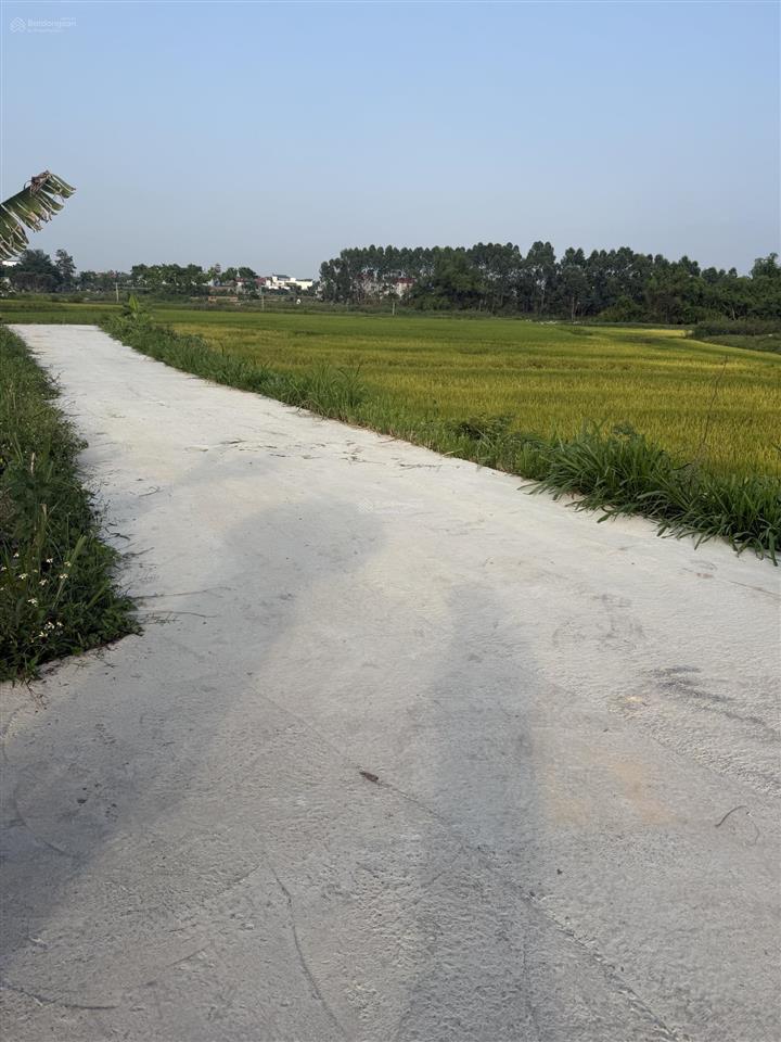 Bán nền đất góc tại đoan bái hiệp hoà, view cánh đồng cách trục liên huyện chỉ 300m