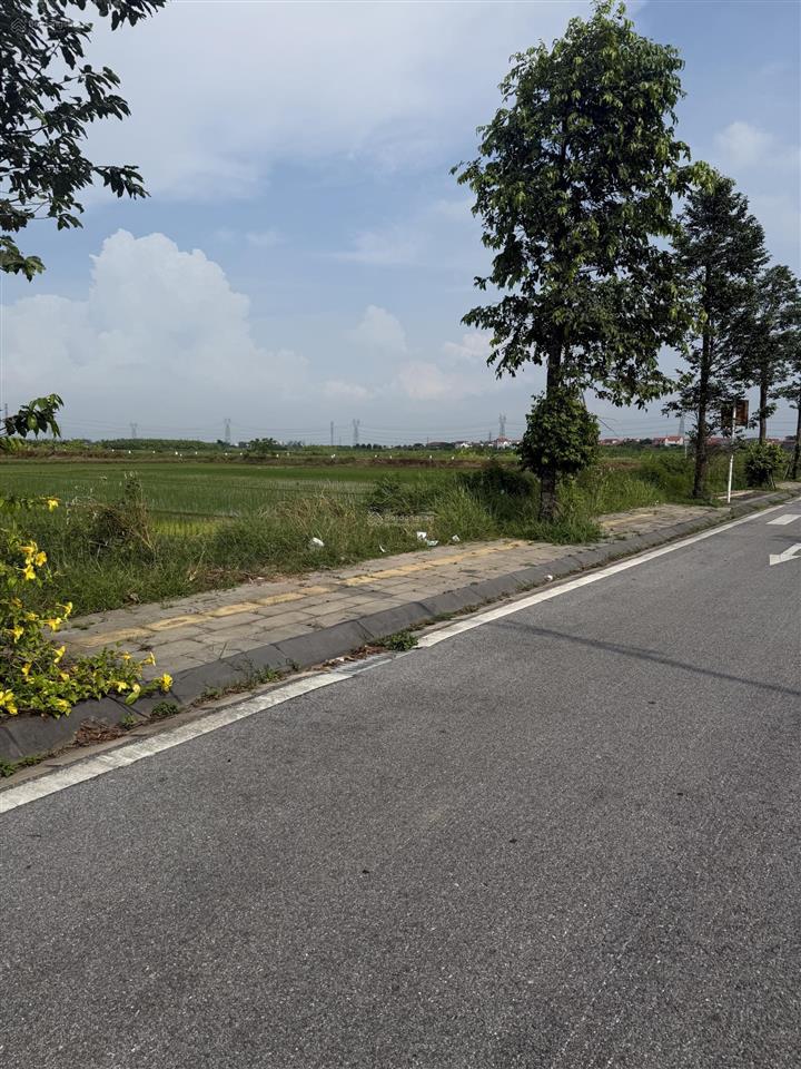 Bán nền góc kđt mới amdi việt đoàn view cánh đồng, giá rẻ hơn 300tr với lô góc hướng tây