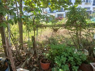 Bán đất thổ cư sổ hồng riêng giá 4 tỷ 54m2 gần siêu thị aeon tân phú