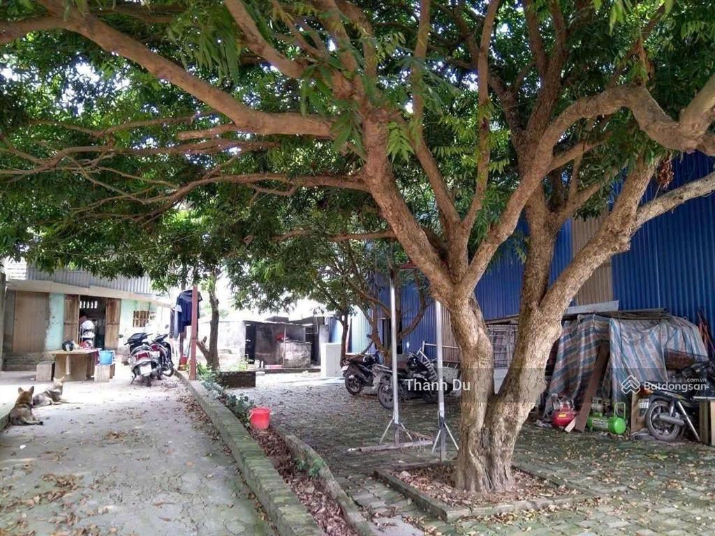 Cho thuê kho, nhà xưởng 750m2 gần cầu thanh trì điện 3 pha giá 45 tr