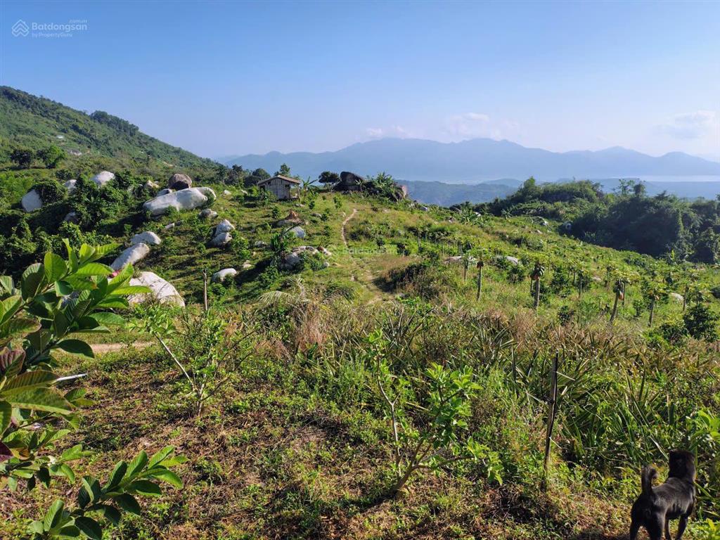 Bán khu vườn view biển bãi dài