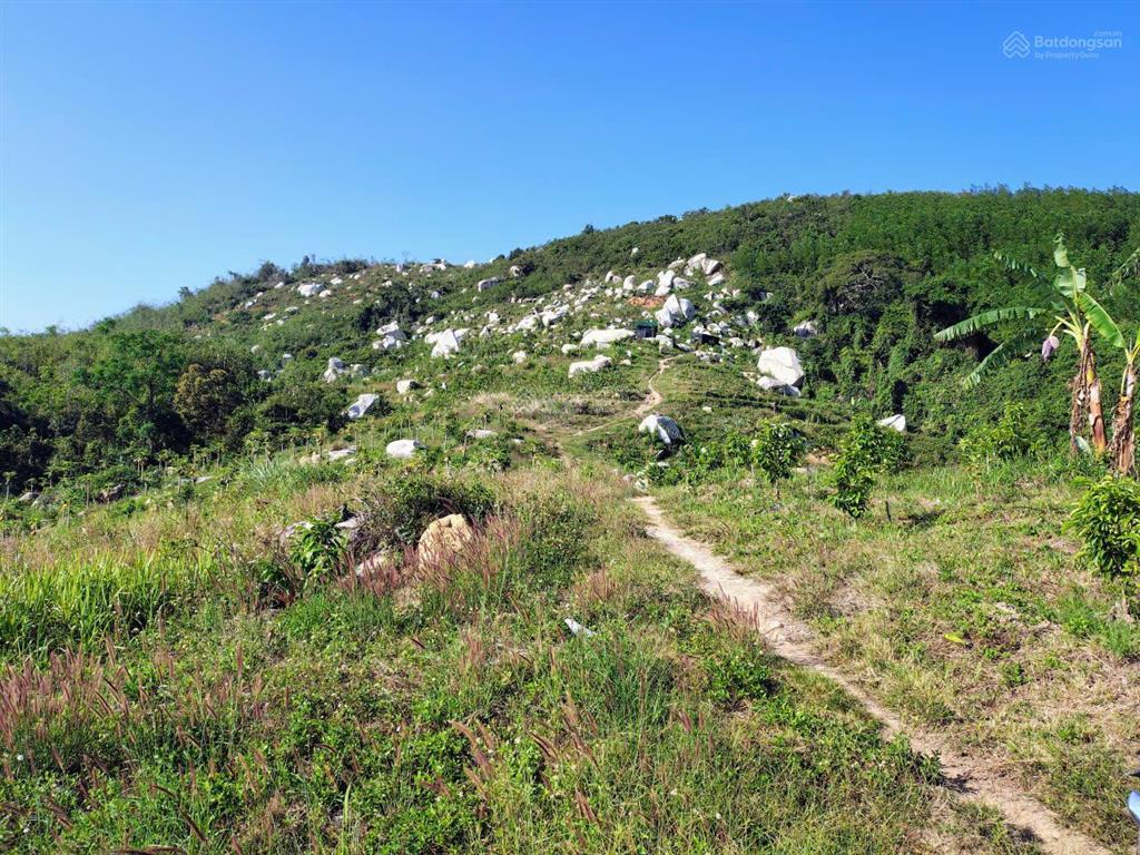 Bán khu vườn view biển bãi dài