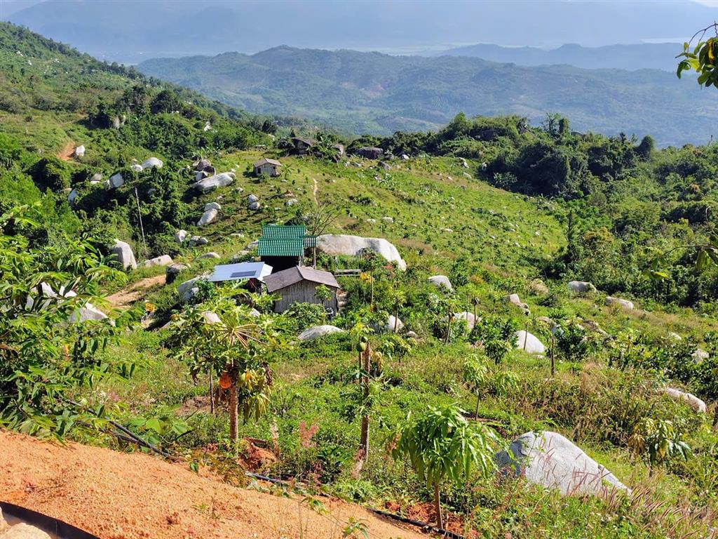 Bán khu vườn view biển bãi dài