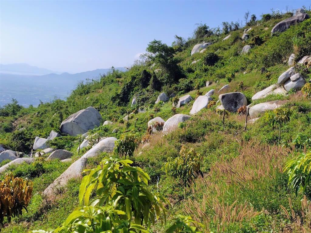 Bán khu vườn view biển bãi dài