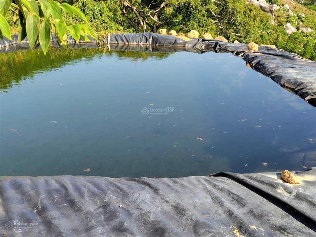 Bán khu vườn view biển bãi dài