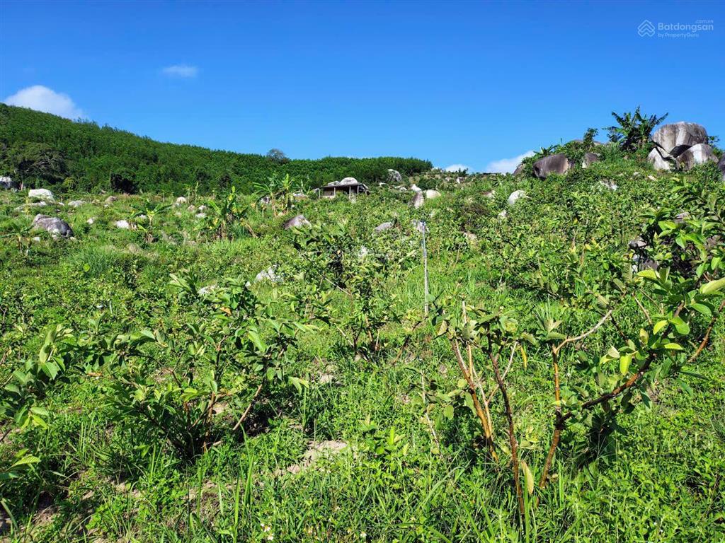 Bán khu vườn view biển bãi dài