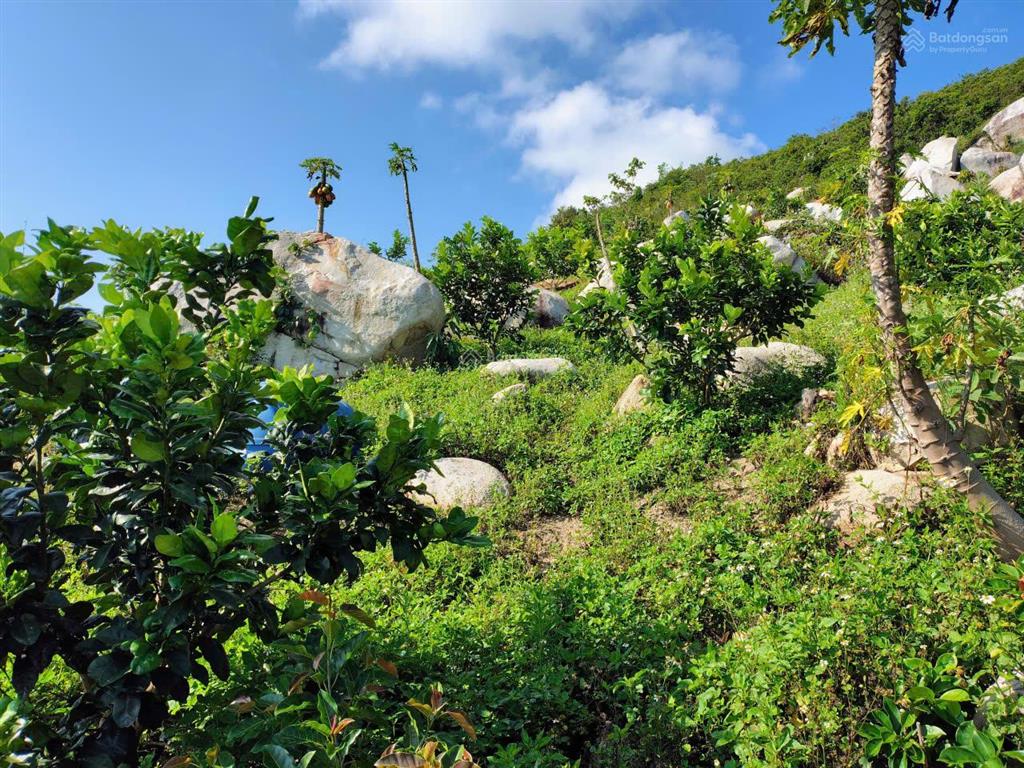 Bán khu vườn view biển bãi dài