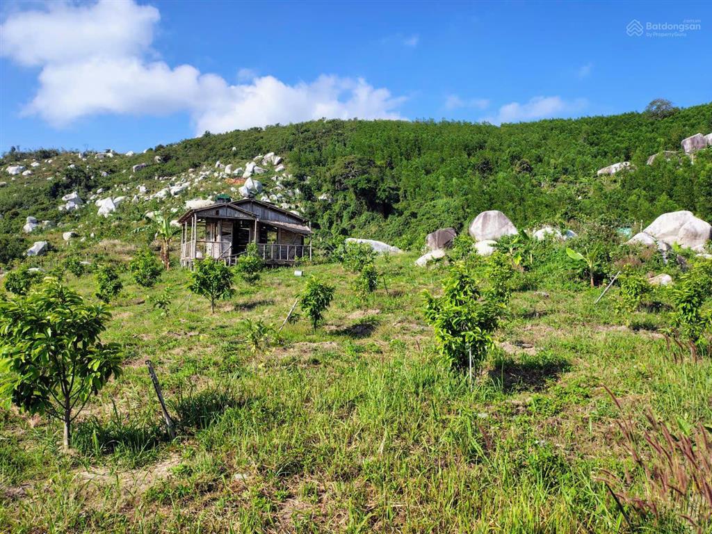 Bán khu vườn view biển bãi dài