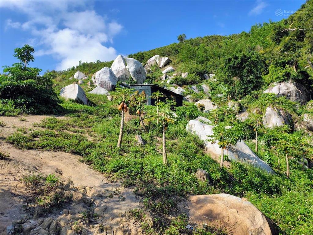 Bán khu vườn view biển bãi dài