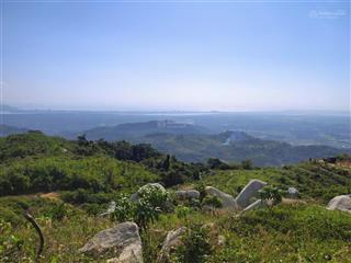 Bán khu vườn view biển bãi dài