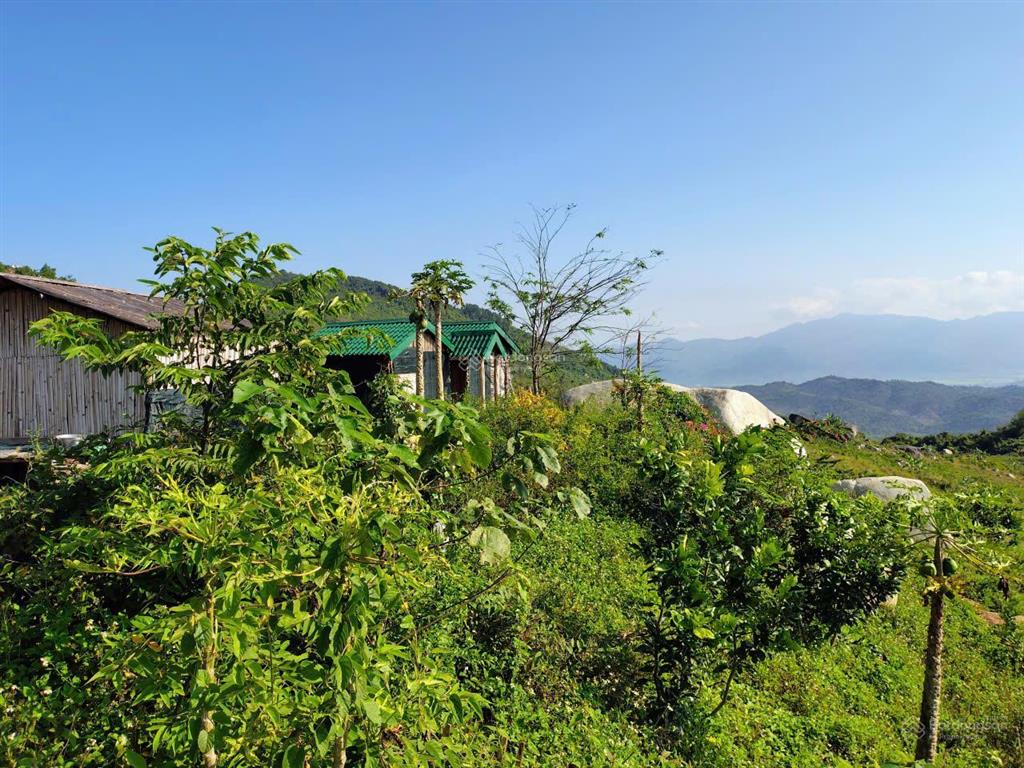 Bán khu vườn view biển bãi dài