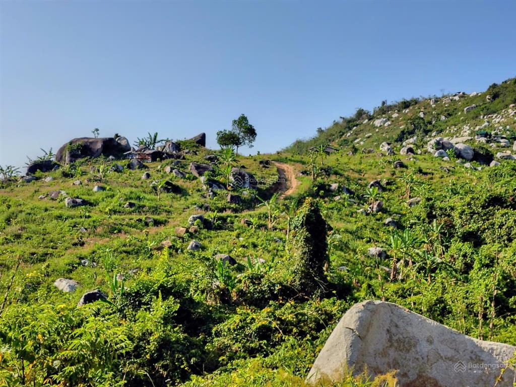 Bán khu vườn view biển bãi dài