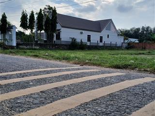 Chính chủ cần tiền bán gấp lô đất , tân thạnh tây, 250m2, shr