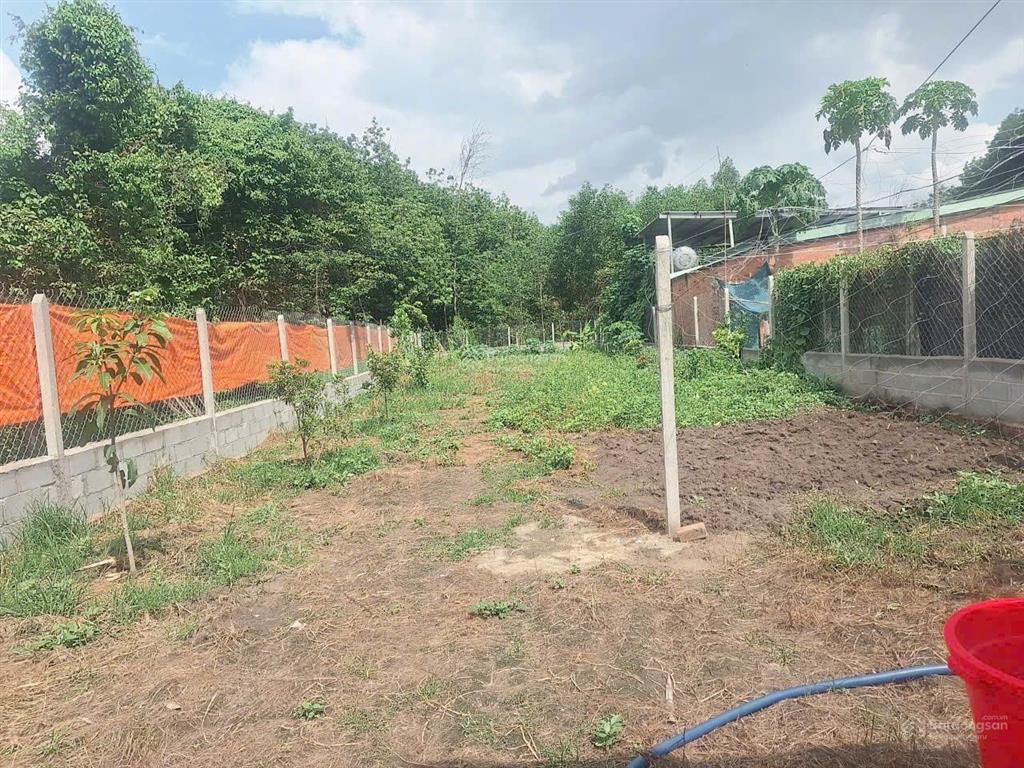 Đất vườn xã tân thông hội, củ chi, 584m2, shr, 1 tỷ 3