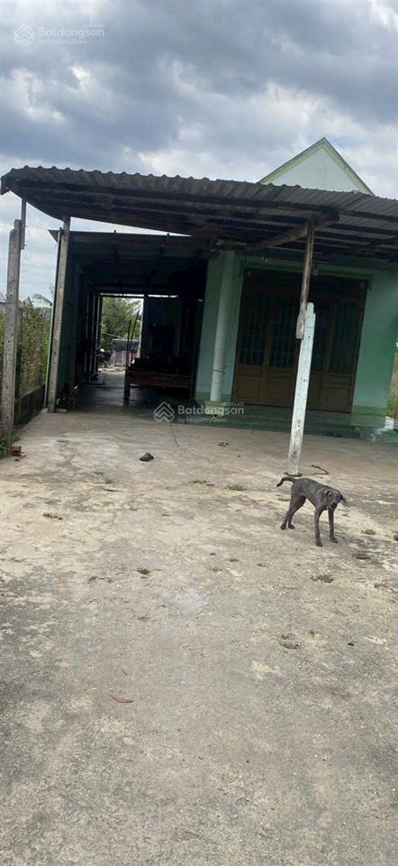 Ngộp, bán nhanh đất có nhà cấp 4 tại suối sâu, trảng bàng, 434m2, shr, 950tr