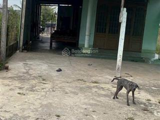Ngộp, bán nhanh nhà cấp 4 tại suối sâu, trảng bàng, 434m2, shr, 950tr