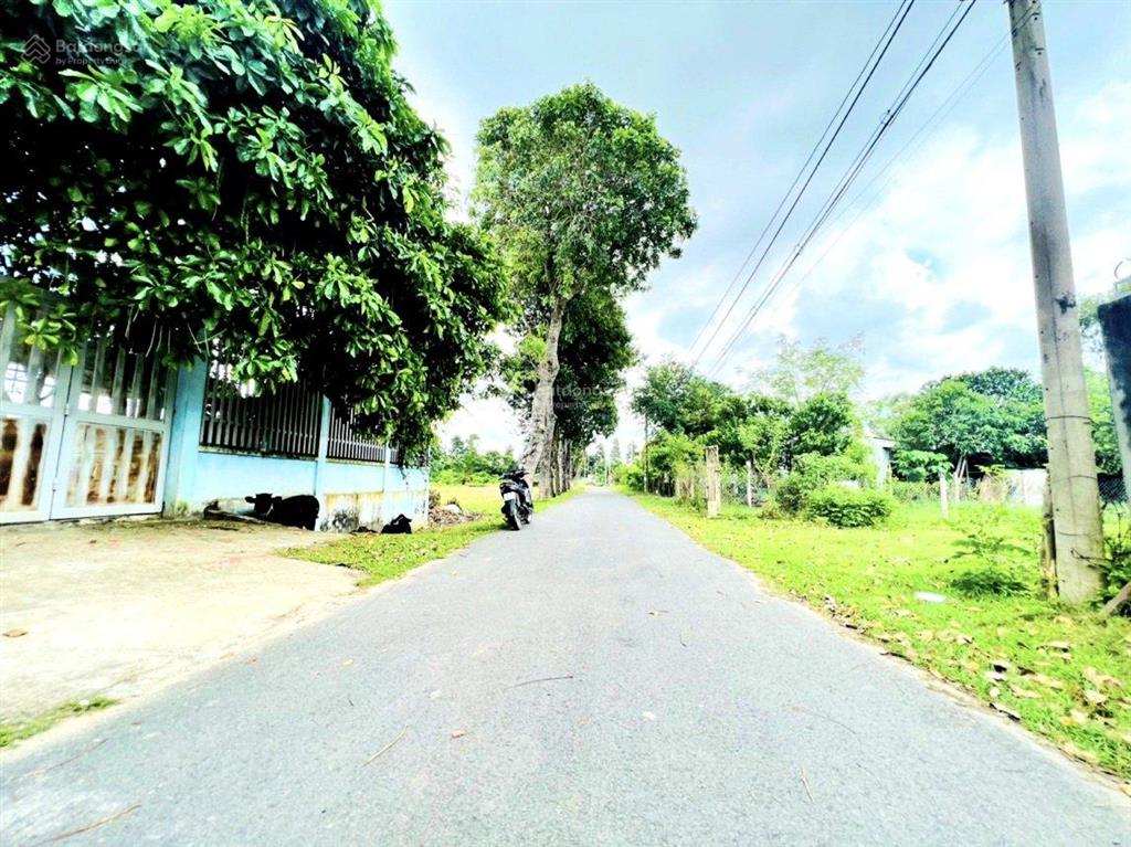 Chủ kẹt tiền, bán nhanh mặt tiền đường bàu mây, 488m2 shr, 875tr