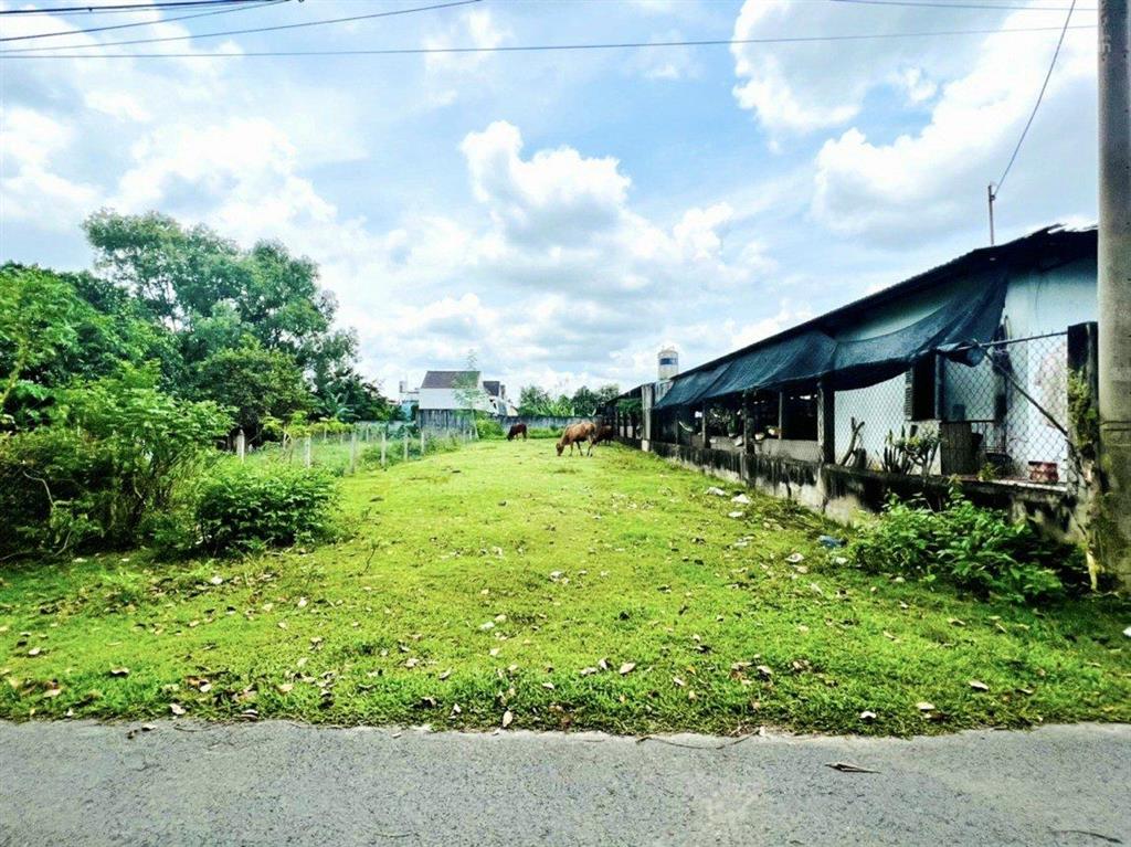 Chủ kẹt tiền, bán nhanh mặt tiền đường bàu mây, 488m2 shr, 875tr