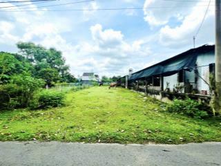 Chủ kẹt tiền, bán nhanh mặt tiền đường bàu mây, 488m2 shr, 875tr